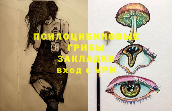 соль курить ск Алзамай