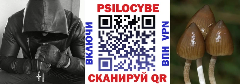 дарк нет наркотические препараты  Баксан  Галлюциногенные грибы прущие грибы 