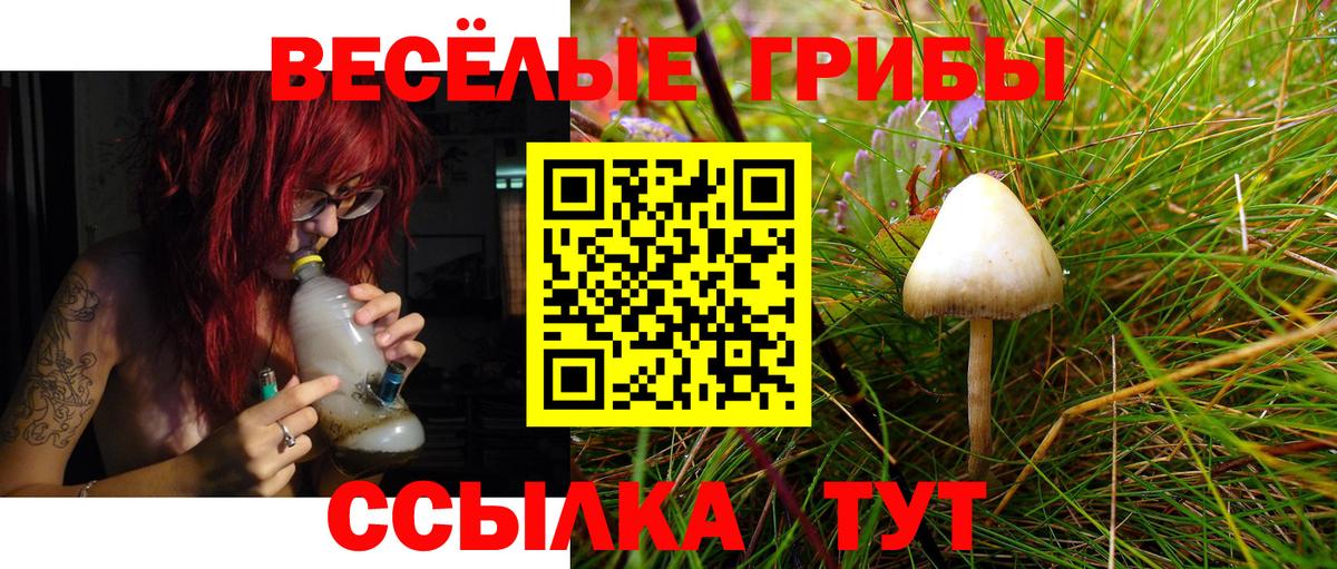 Баксан  Псилоцибиновые грибы ЛСД  Вход с VPN  Псилоцибиновые грибы Psilocybe 
