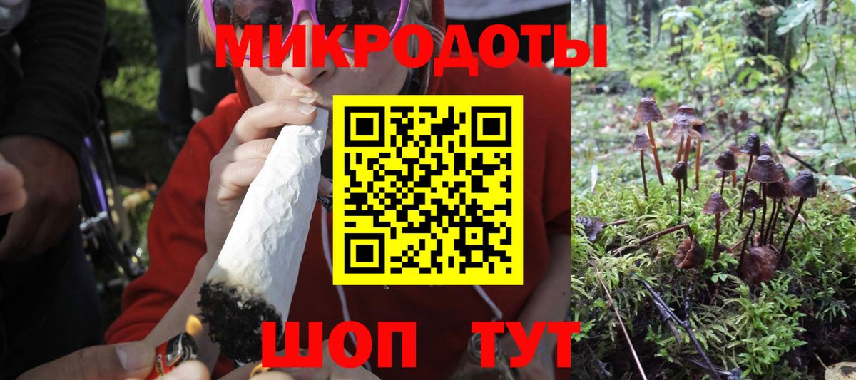 Галлюциногенные грибы мицелий Баксан